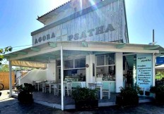 alepochori-shop